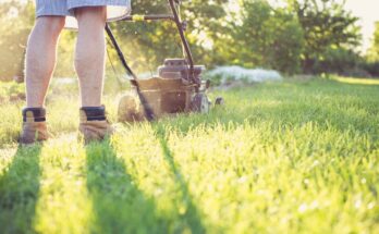 Best Shoes for Grass Cutting